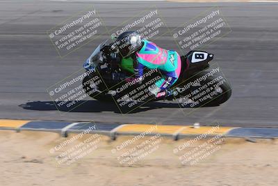 media/Nov-17-2023-Apex Assassins (Fri) [[c4a68d93b0]]/4-Trackday 1/5-Session 4 (Turn 10 Inside)/